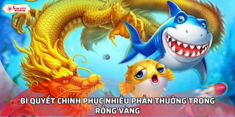 Bí quyết chinh phục nhiều phần thưởng trong Rồng Vàng