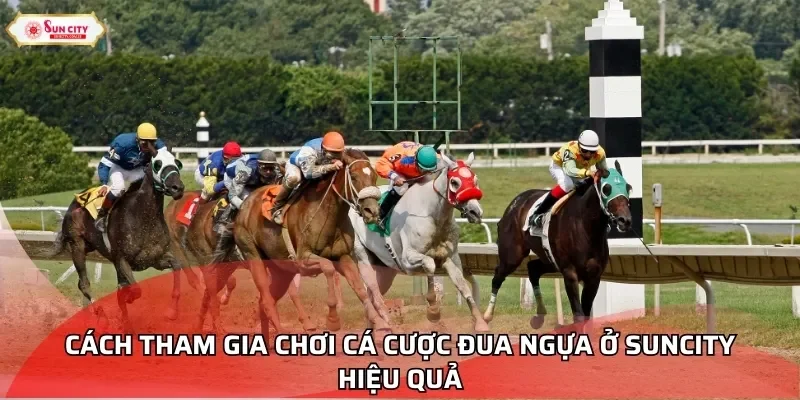 Cách tham gia chơi cá cược đua ngựa ở Suncity hiệu quả