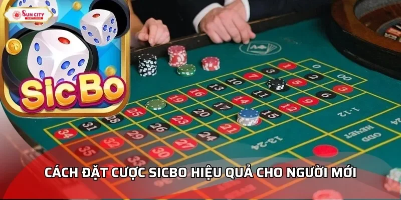Cách đặt cược Sicbo hiệu quả cho người mới