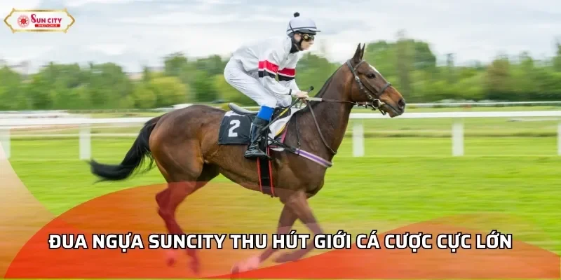 Đua ngựa Suncity thu hút giới cá cược cực lớn