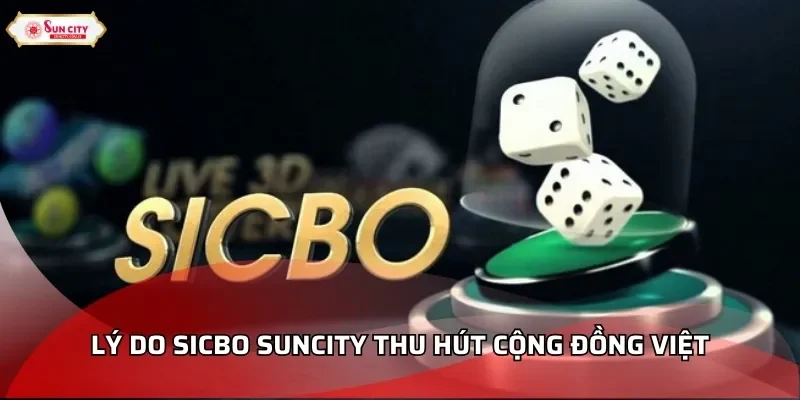 Lý do Sicbo Suncity thu hút cộng đồng Việt